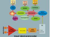 neuroserver diagram